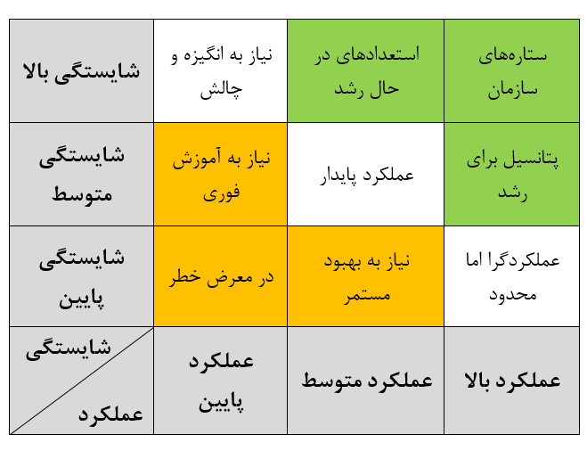 ساختار ماتریس عملکرد-شایستگی و تحلیل گروه‌های آن که عملکرد بالا، متوسط ​​و پایین را در مقابل شایستگی نشان می‌دهد.